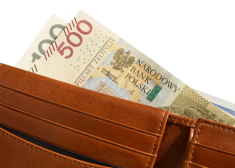 pieniądze w portfelu